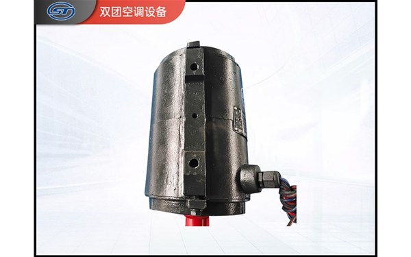 武城双兴电机集电环短路故障处理